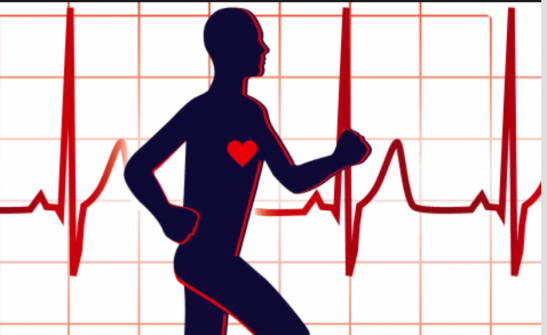 Screen Shot 2017-12-26 at 11.50.04 PM