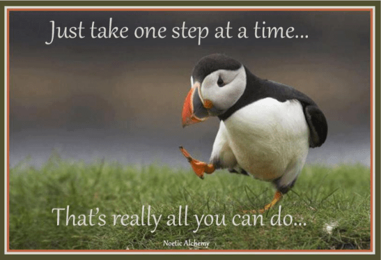 Screen Shot 2016-08-07 at 10.06.56 PM.png