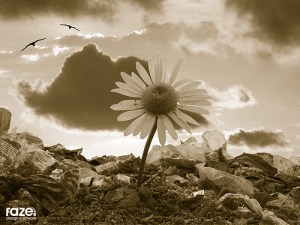 859334142_88bee37631