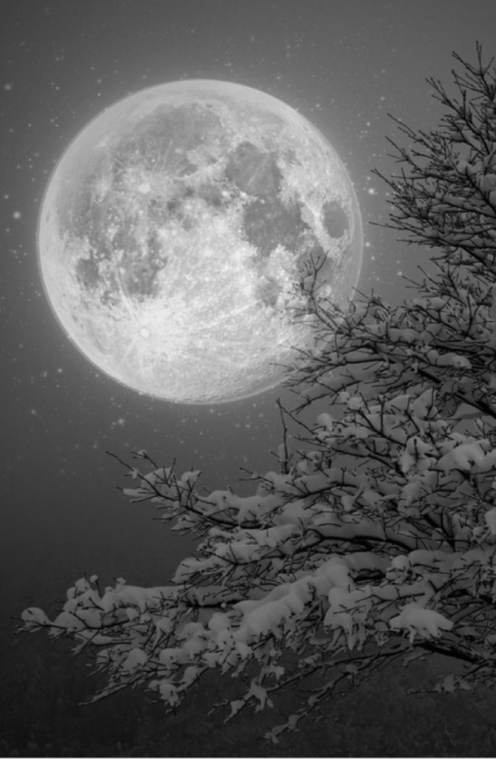 Screen Shot 2015-12-22 at 10.58.43 PM