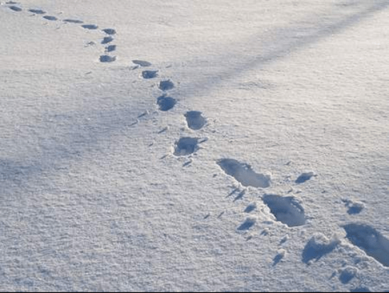 Screen Shot 2015-12-22 at 11.02.22 PM.png