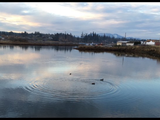 (Saw this water ripple on a recent walk)