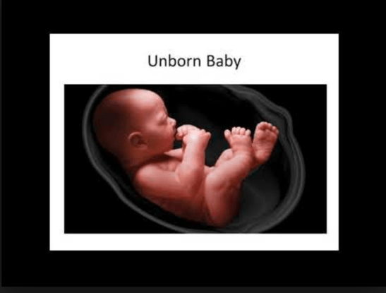 Screen Shot 2018-06-03 at 11.00.15 PM.png